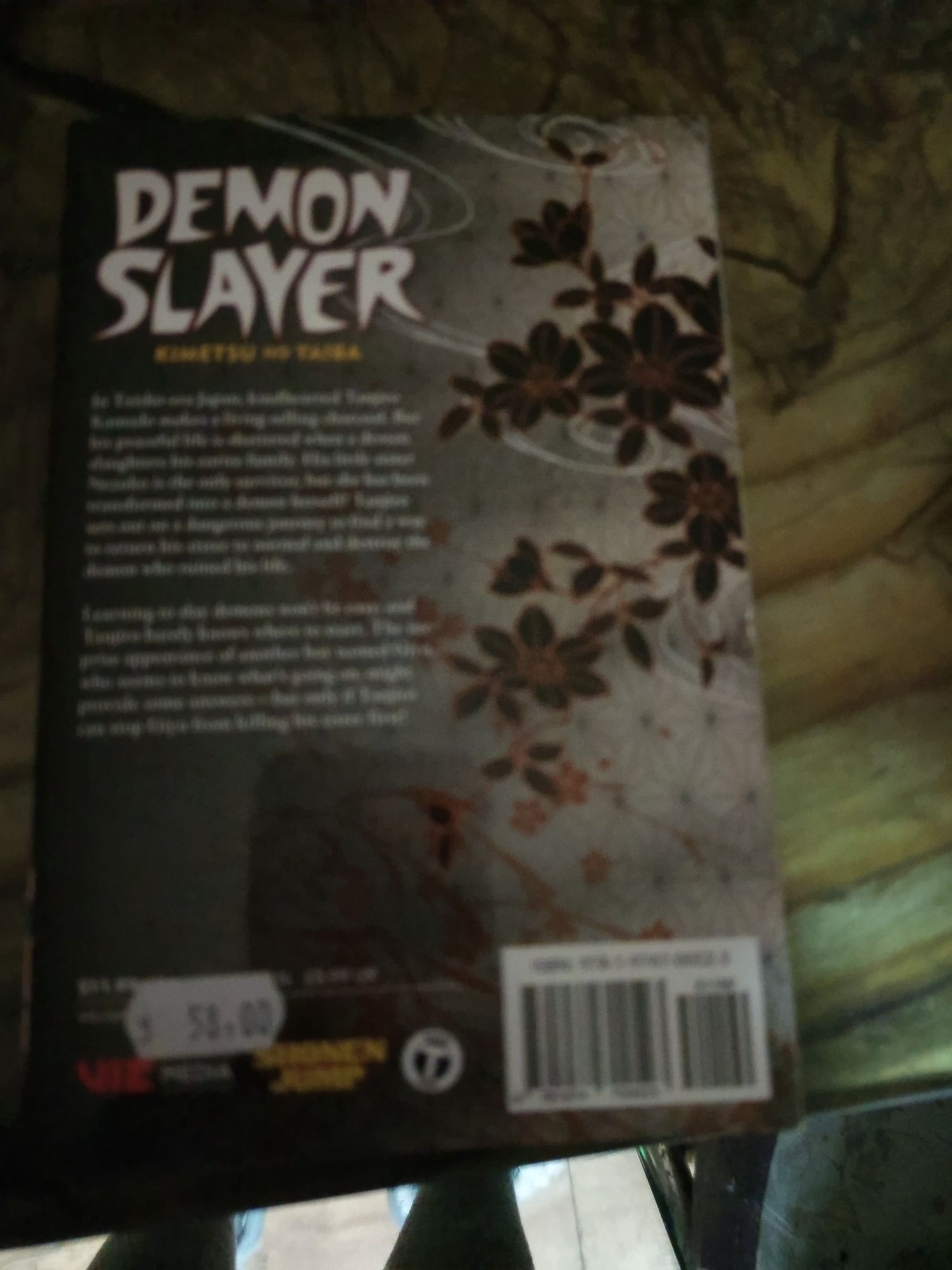 Demon slayer volumul 1