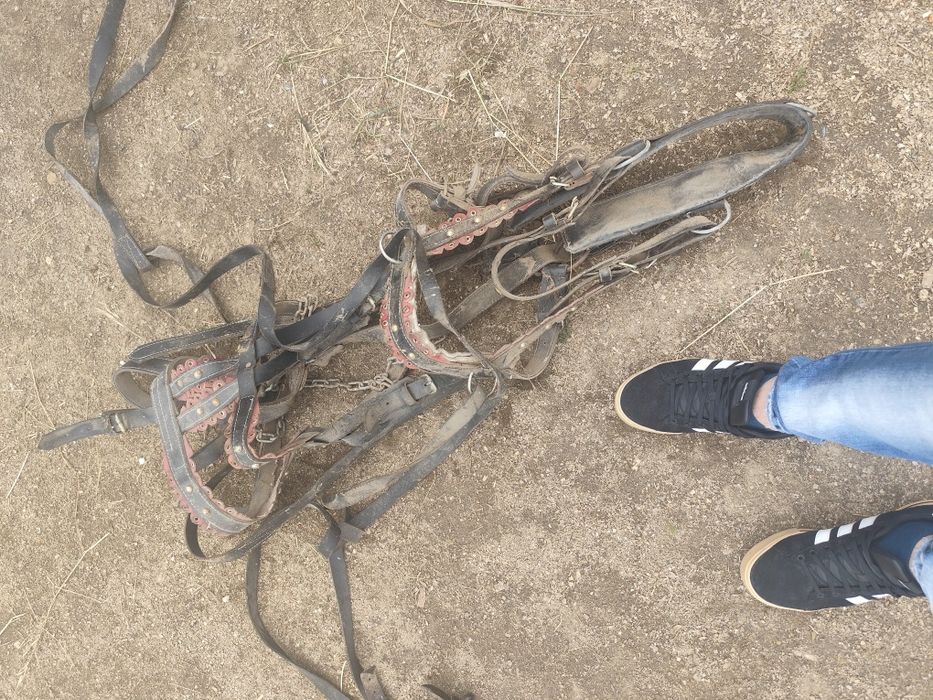 Se vinde ham complect de ponei este folosit de doua ori arata foarte b