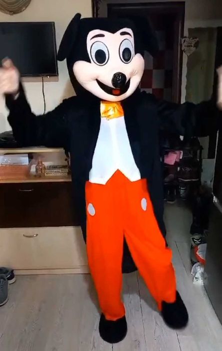 Mascota mickey 550 lei