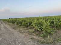 Teren de vanzare 45.000 mp compact!!!