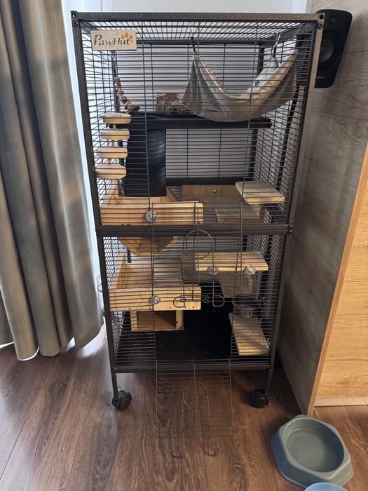 Cusca chinchilla rozatoare