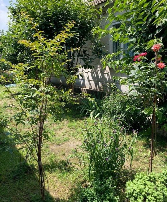 Аренда участка сергели спутник 15. 5хона 4соту ремонт тоза хамма шарои