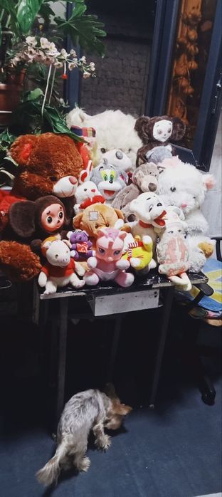 продаются мягкие игрушки много больше 30 штук