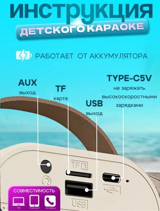 Колонка и микрофоны