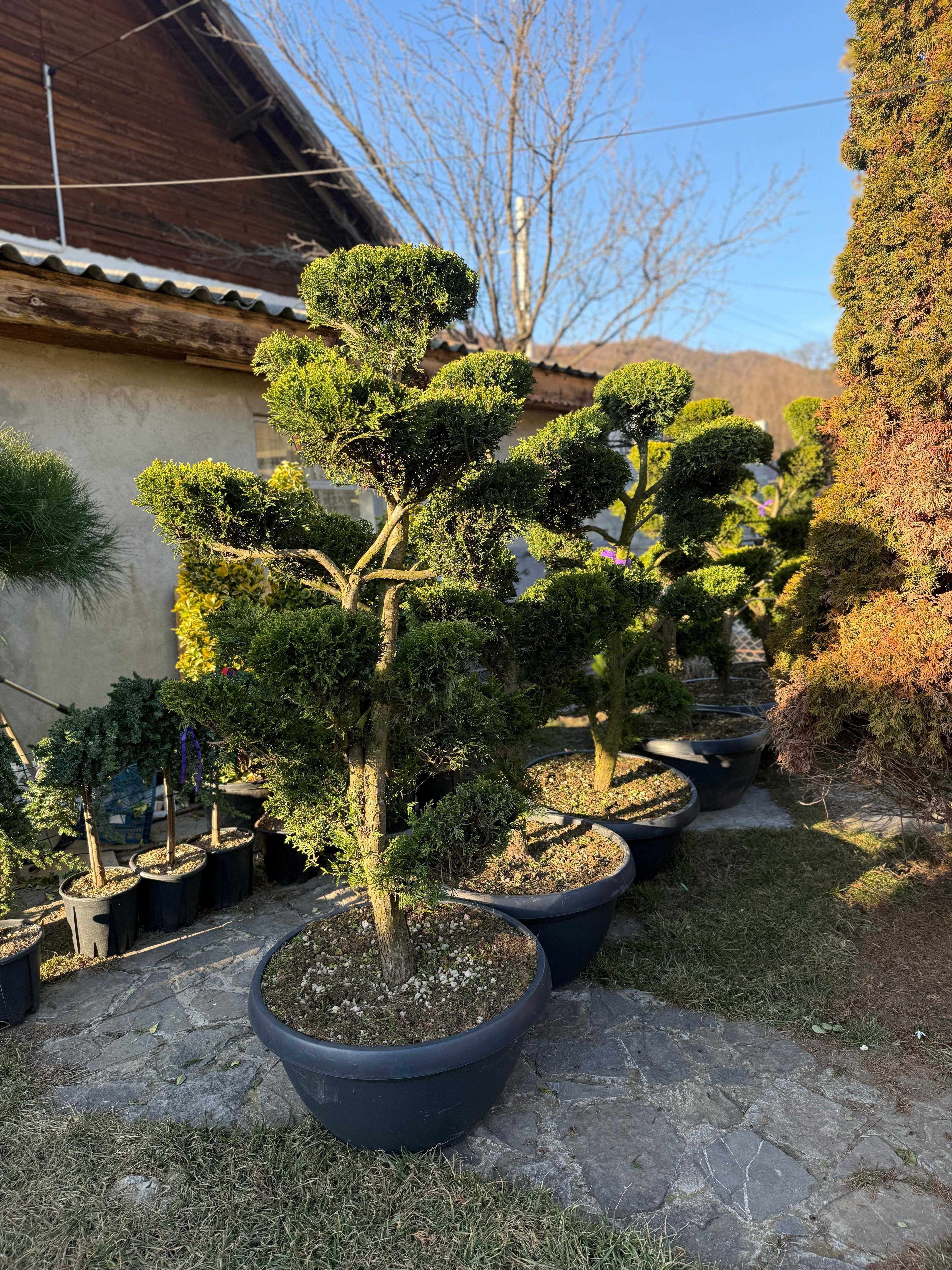 Piatra naturală de munte – Rezistență 100 de ani, fără întreținere!