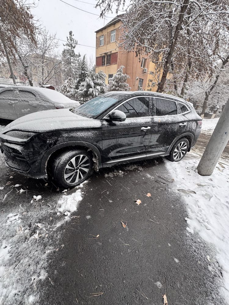 Byd champion full605 toza
