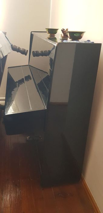 Продам своё пианино, Ласточка