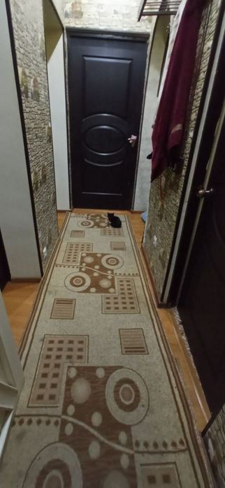 Саракулька  3/1/3