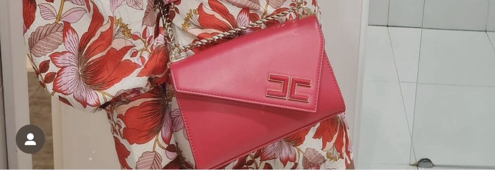 Чанти elisabetta franchi