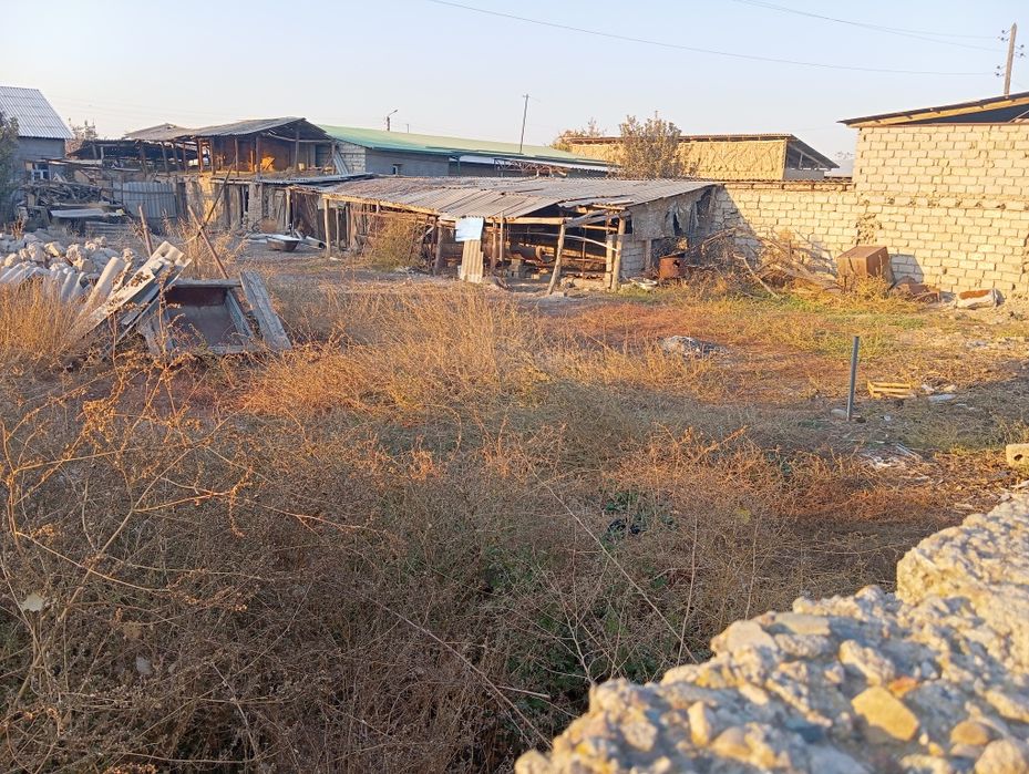 Срочно Yangi Towkent pustoy yer joy quruw un tayyor