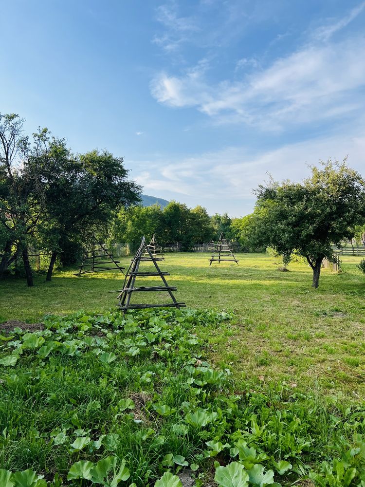 Teren 1000 mp  valea doftanei traisteni