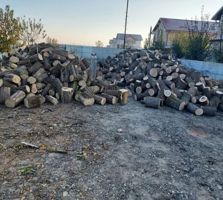 Lemne și cărbuni de foc