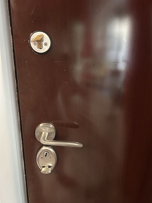 Vand usa metalica 250 ron negociabil