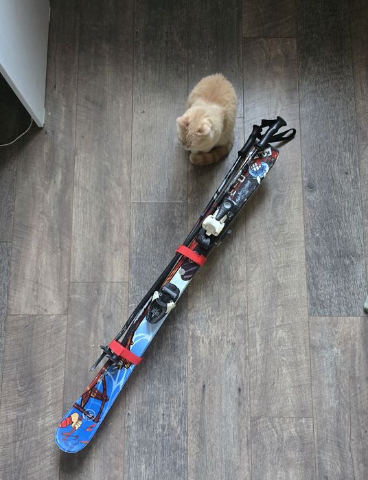 Лыжи горные детские