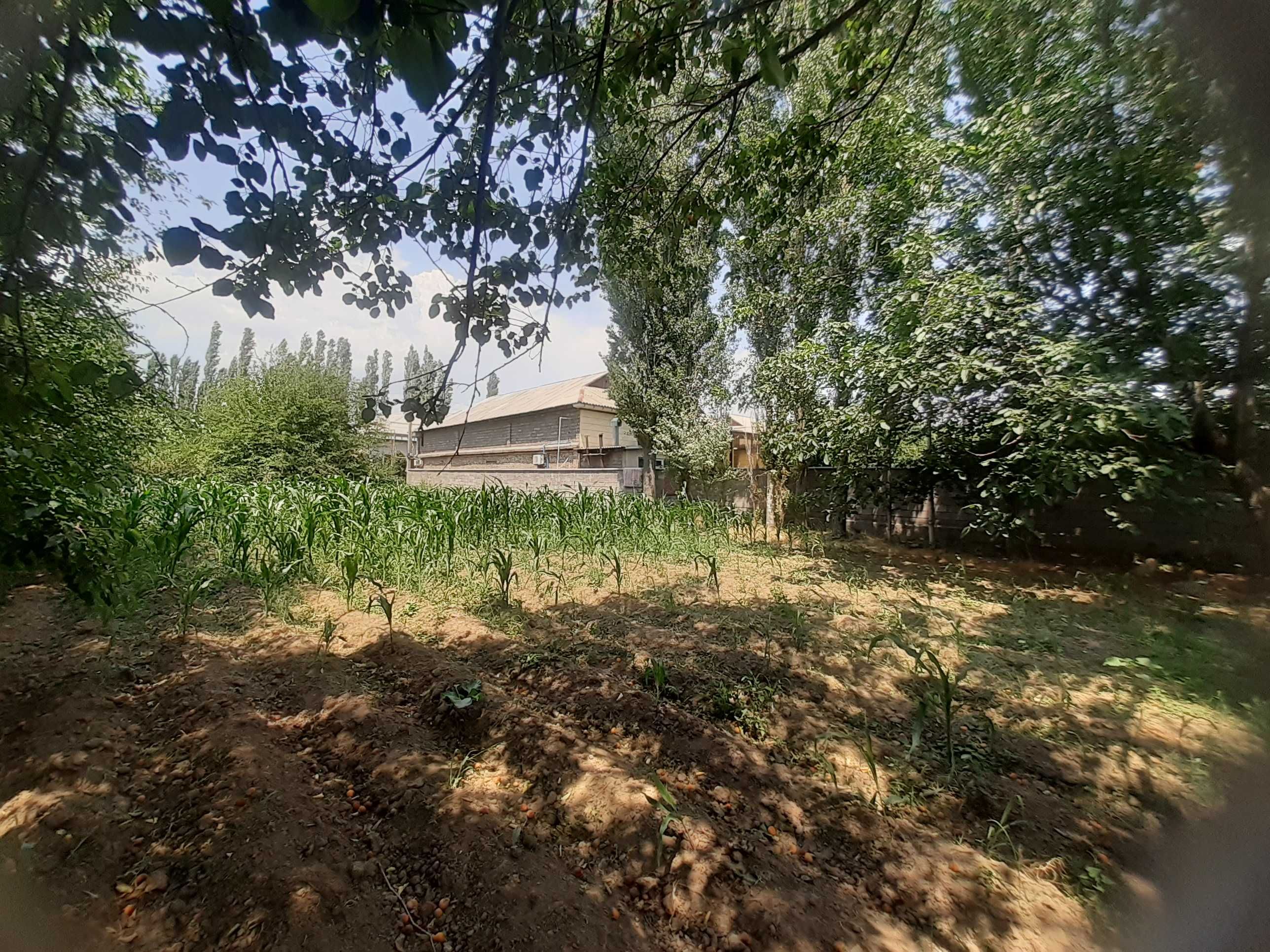 продается участка в Aнгрене