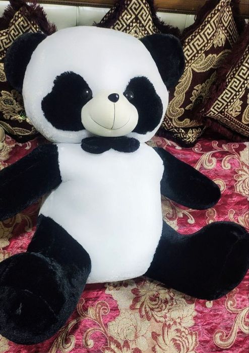 Pandalar oilasi yangi