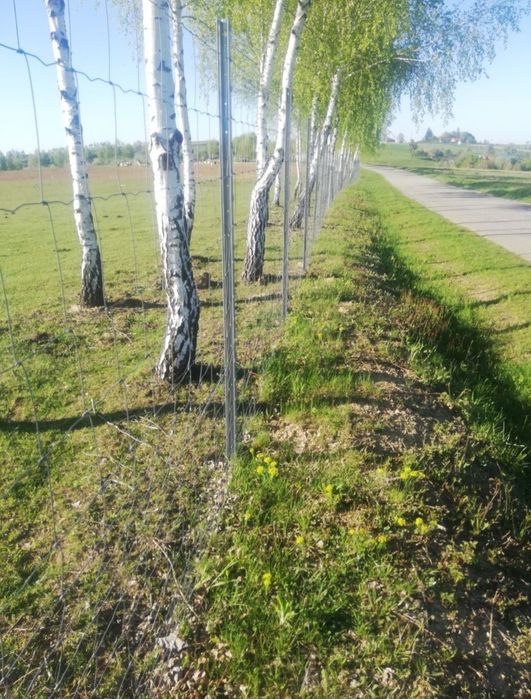 Porți și garduri ecxecutam garduri din plasa bordurata