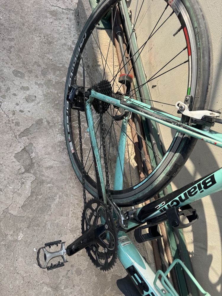 Cursiera Bianchi Impulso tiagra 28”