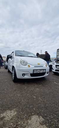 Matiz sotilati 3100