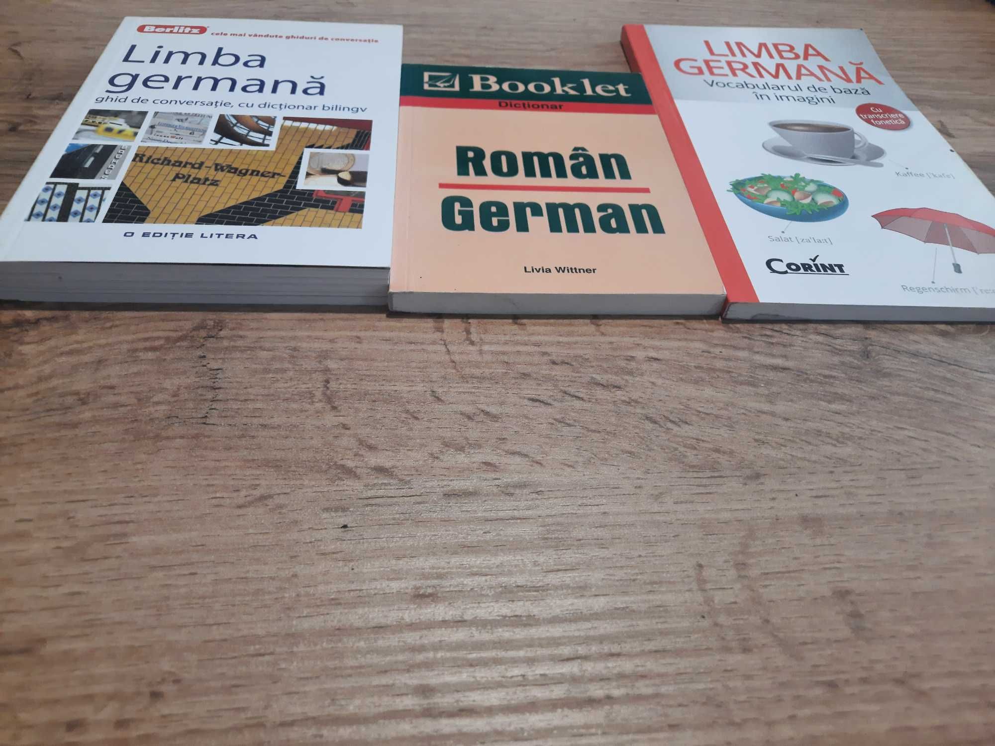 Mini dictionare limba germana