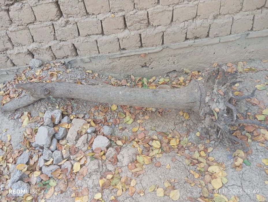 1ta ЗИЛ O'tinlar 1 million so'm hammasi