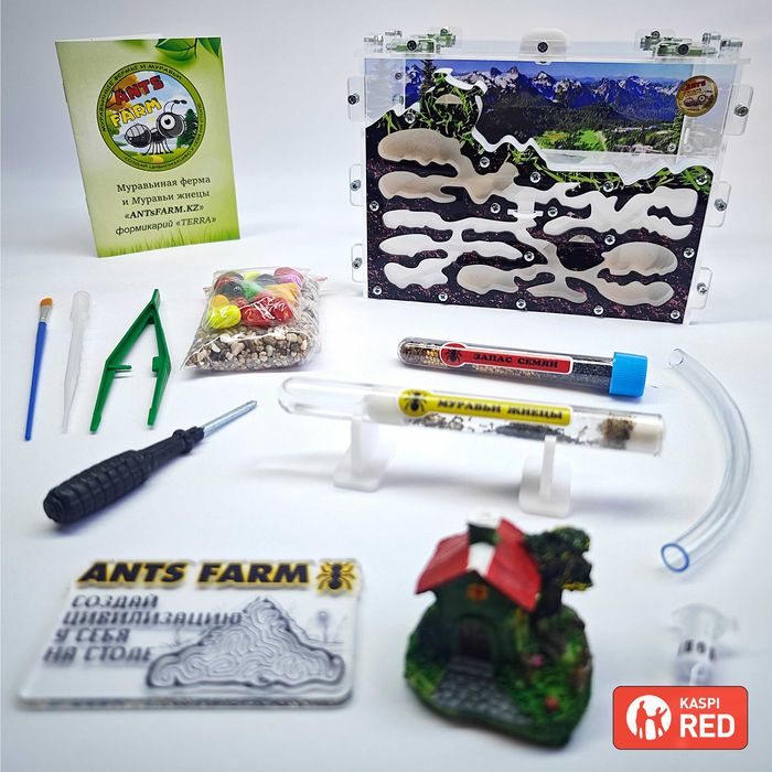 Муравьиная ферма - Муравьи жнецы ||| Вертикальный формикарий "TERRA"