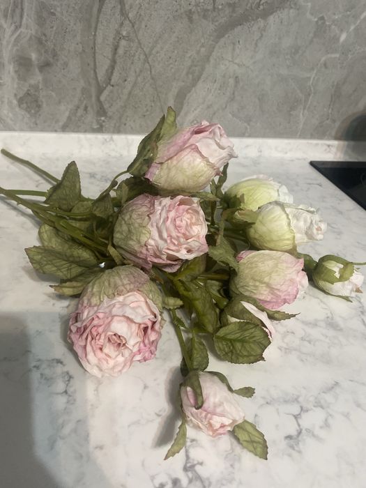 Продам розы цветы