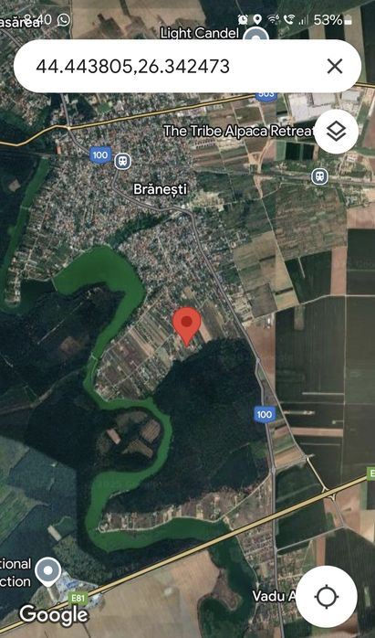 Teren de vanzare Branesti
