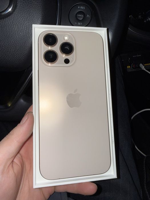 16 про макс 256 100%