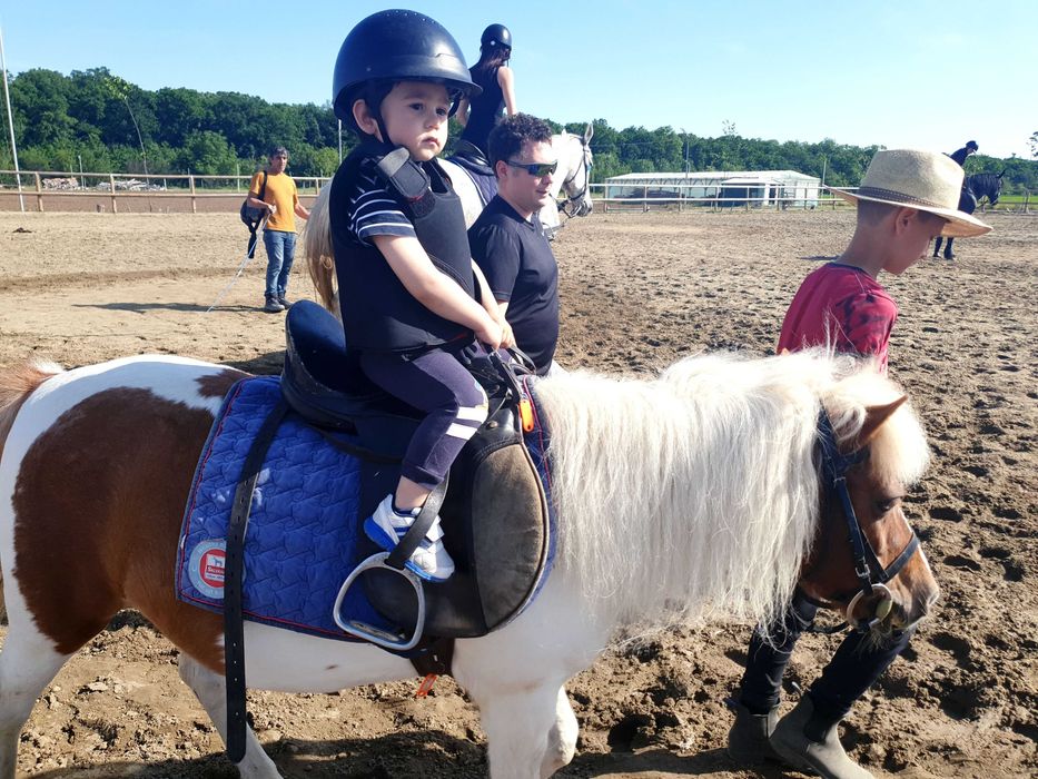 PLIMBARI cu PONEI pentru EVENIMENTE PRIVATE Bucuresti si imprejurimi