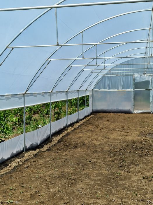 Solarii Ploiesti