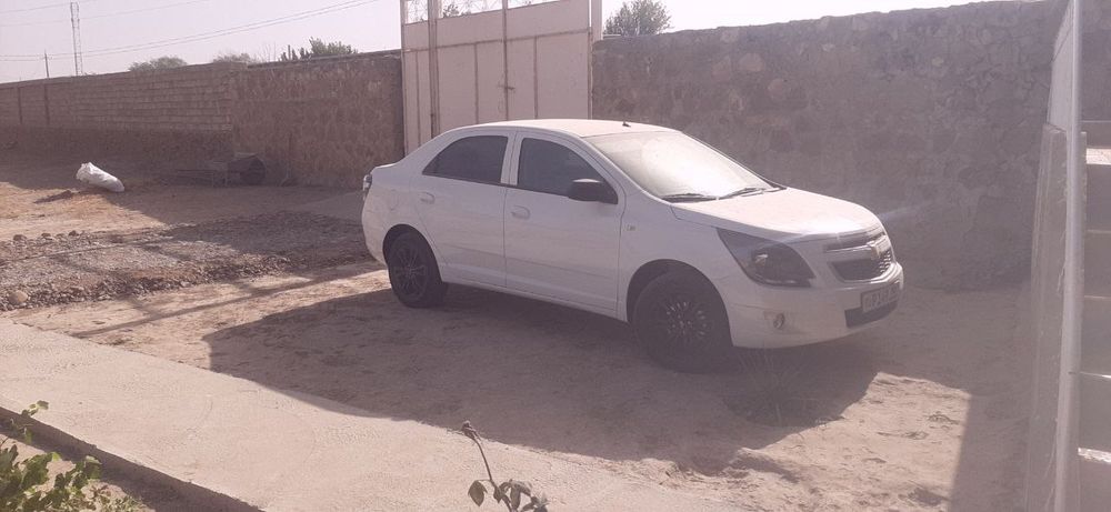 Bez probek Cobalt