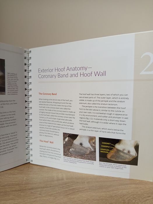 Книга ветеринарна мед. The Essential Hoof Book