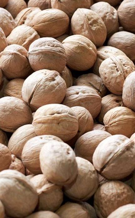 Продам грецкие орехи, в наличии урожай этого года