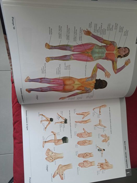 Vând Atlas Netter de Anatomie a omului, ed.8,nou,predare personală