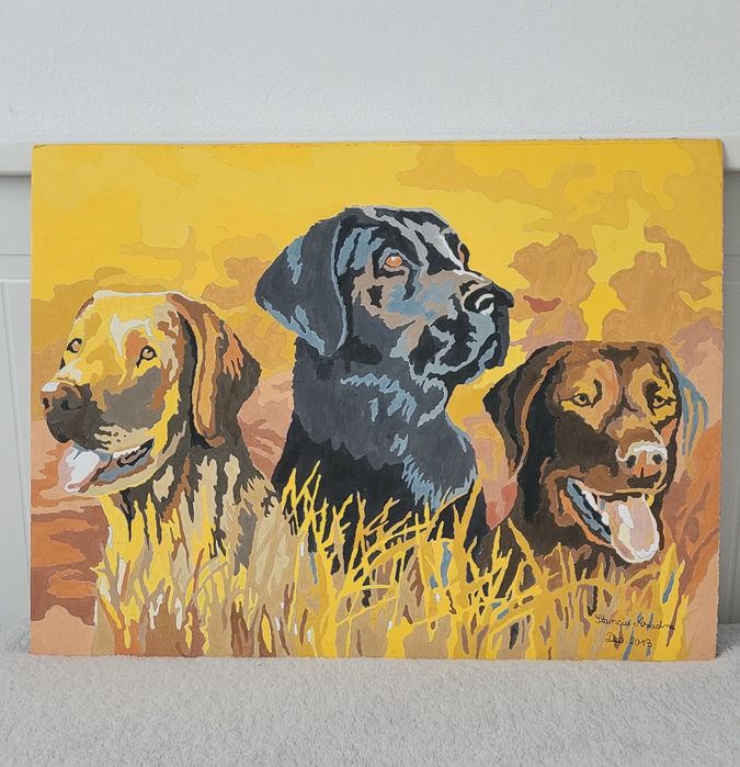 Tablou- pictura pe numere 40x30 cm