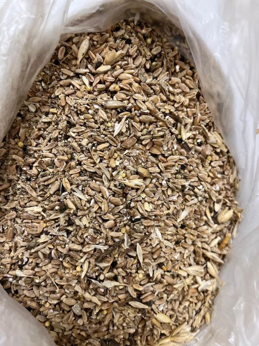 Продам Зерно отход