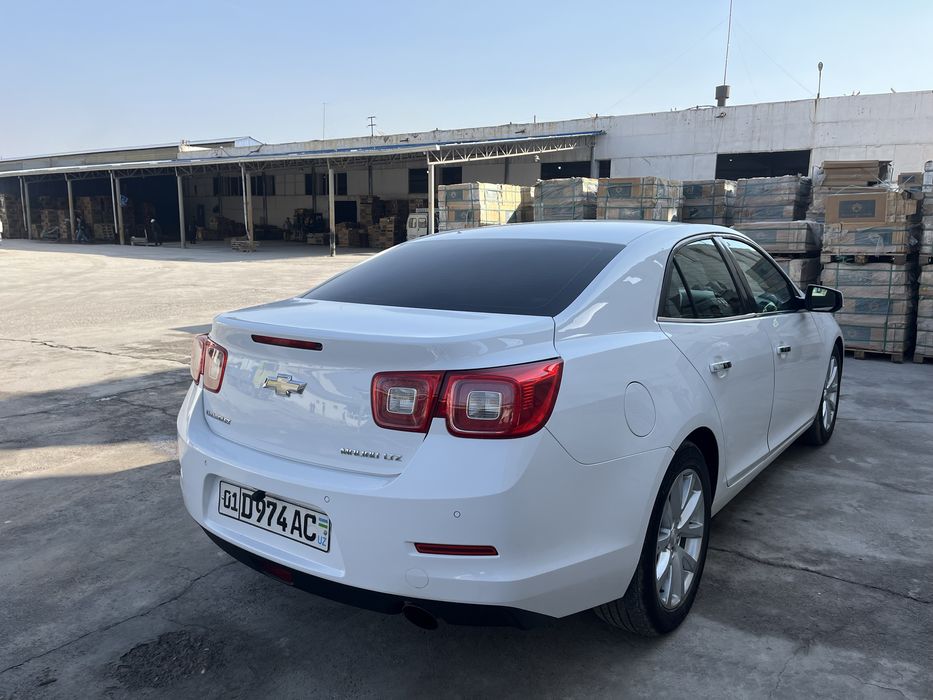 Malibu1 xolati alo darajada