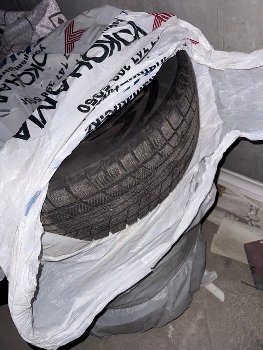 Зимние шины  TRIANGLE