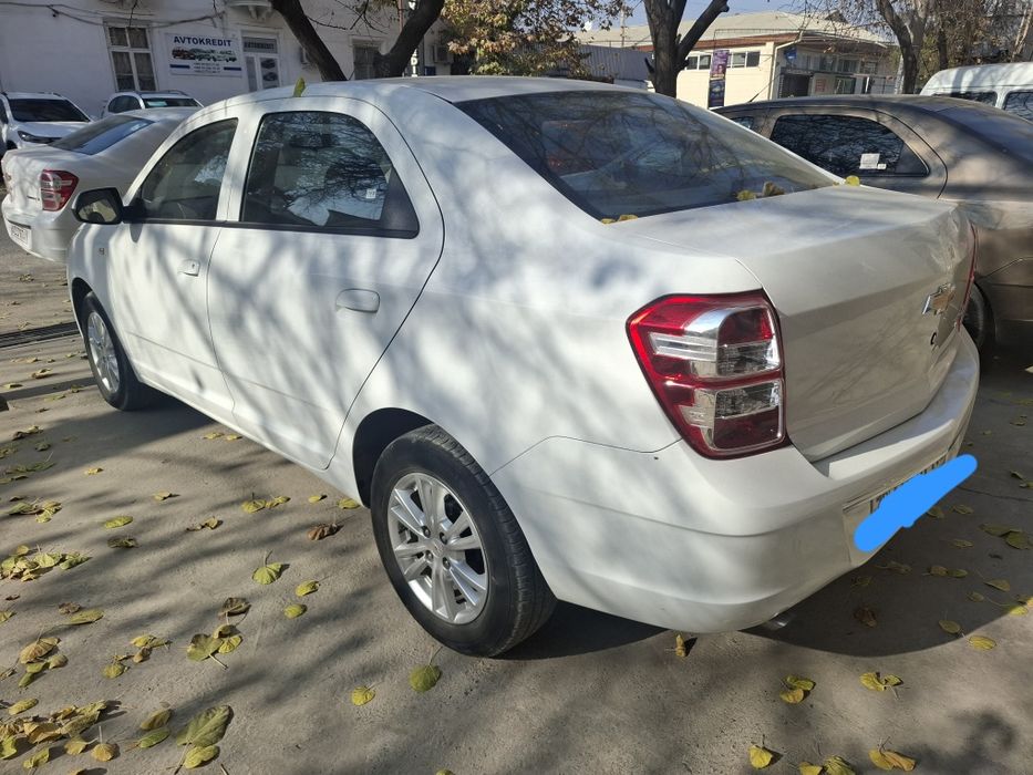 Продам кобиль 2022 викубга бераман