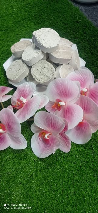 Kesak,gilvata,glina,mel (yer mazasi, yomgir mazasi)100gr 20.000