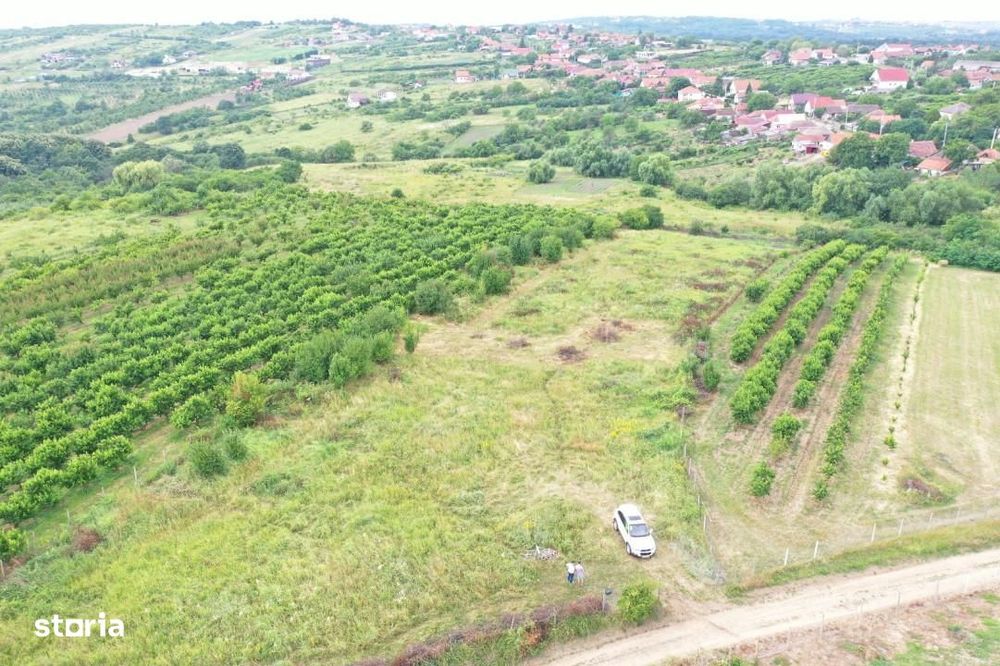 Gaminvest Teren intravilan de vanzare, Saldabagiu de Munte, V3183
