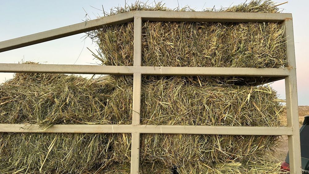 Жоңышқа 1700;теңге за тюк