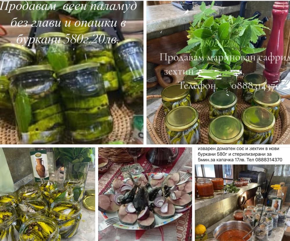 Продавам Паламуд 20лв и сафрид 12лв