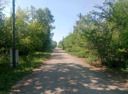 Продам дом. Село Алексеевка