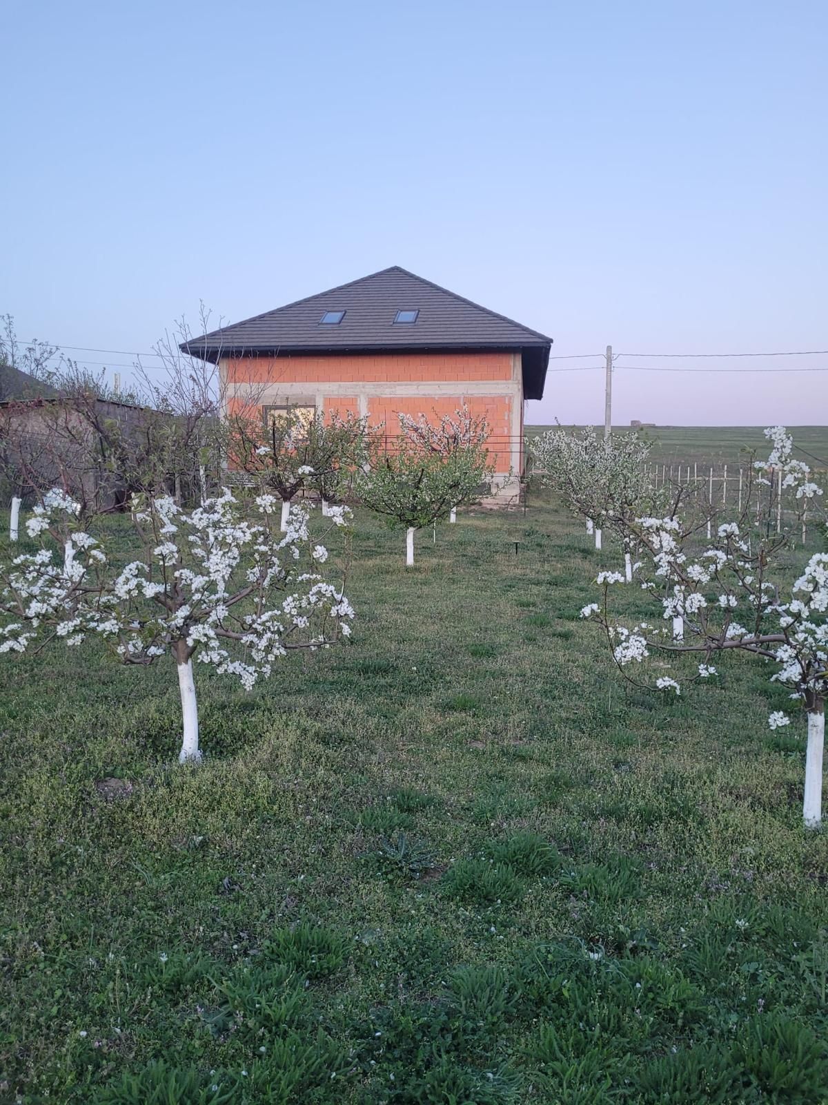 Vand casa la rosu,localitatea Malcoci,jud.Tulcea.