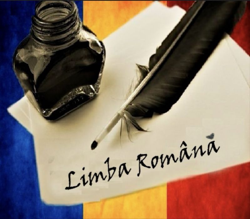 Meditatii Limba Romana