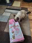Hrana uscata Royal Canin Sterilised Kitten