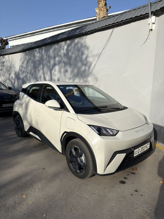 Byd Seagull 405km Full 23/24