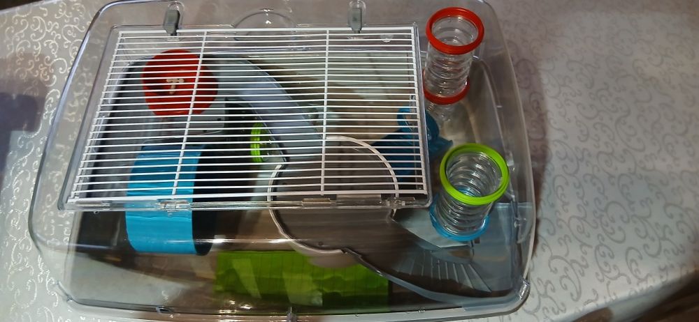 Vând cusca de hamsteri 100 lei